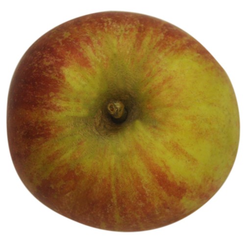 Cox Orange rot, Apfel, oben