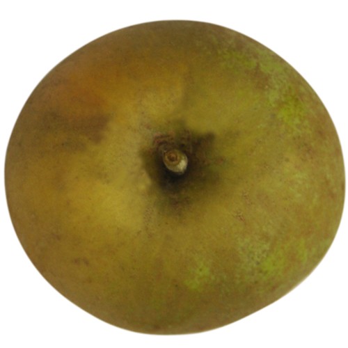 Graue Herbstrenette, Apfel, oben