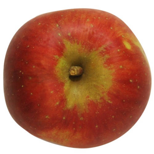 Kaiser Wilhelm, Apfel, oben