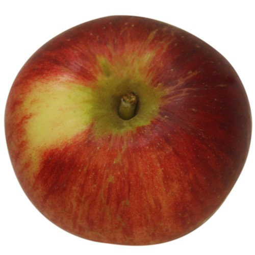 Kardinal Bea, Apfel, oben