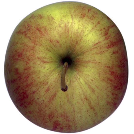 Piros, Apfel Busch