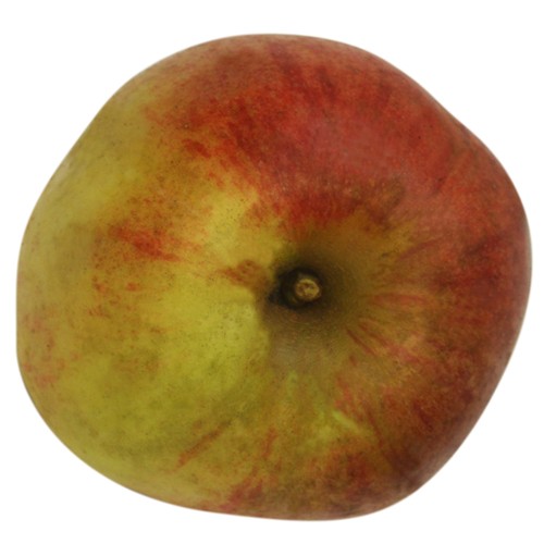 Roter Bellefleur, Apfel oben