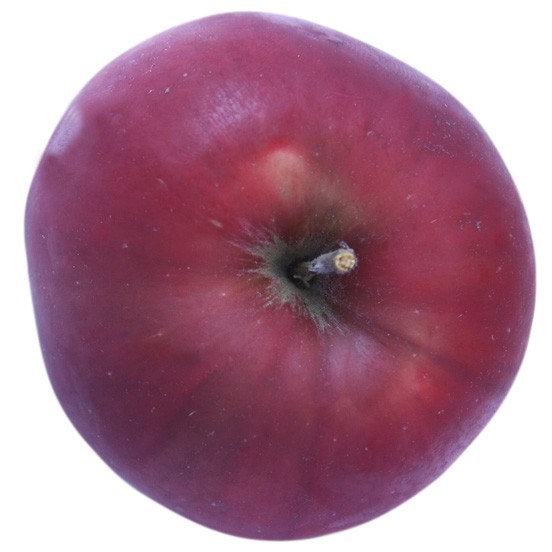 Jonathan, Apfelbaum Hochstamm, Apfel oben