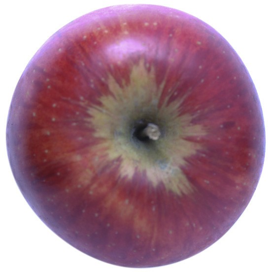 Rubinola Apfelbaum Hochstamm, Apfel oben