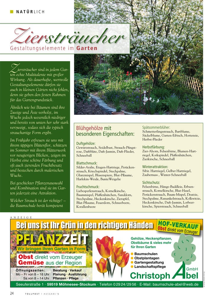Ziersträucher: Gestaltungselemente im Garten