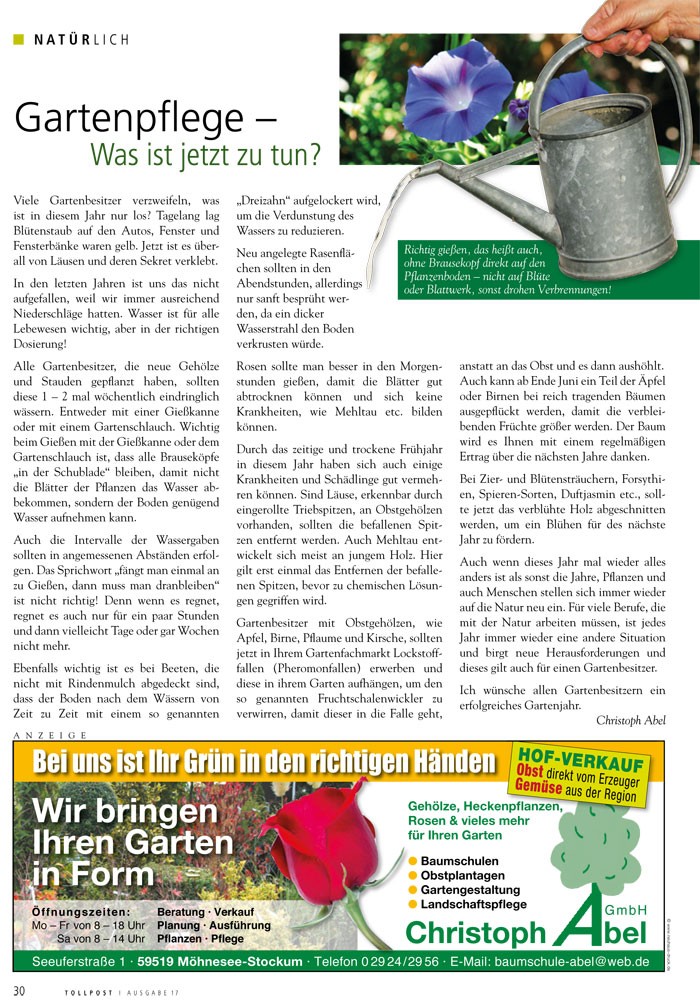Gartenpflege - Was ist jetzt zu tun?