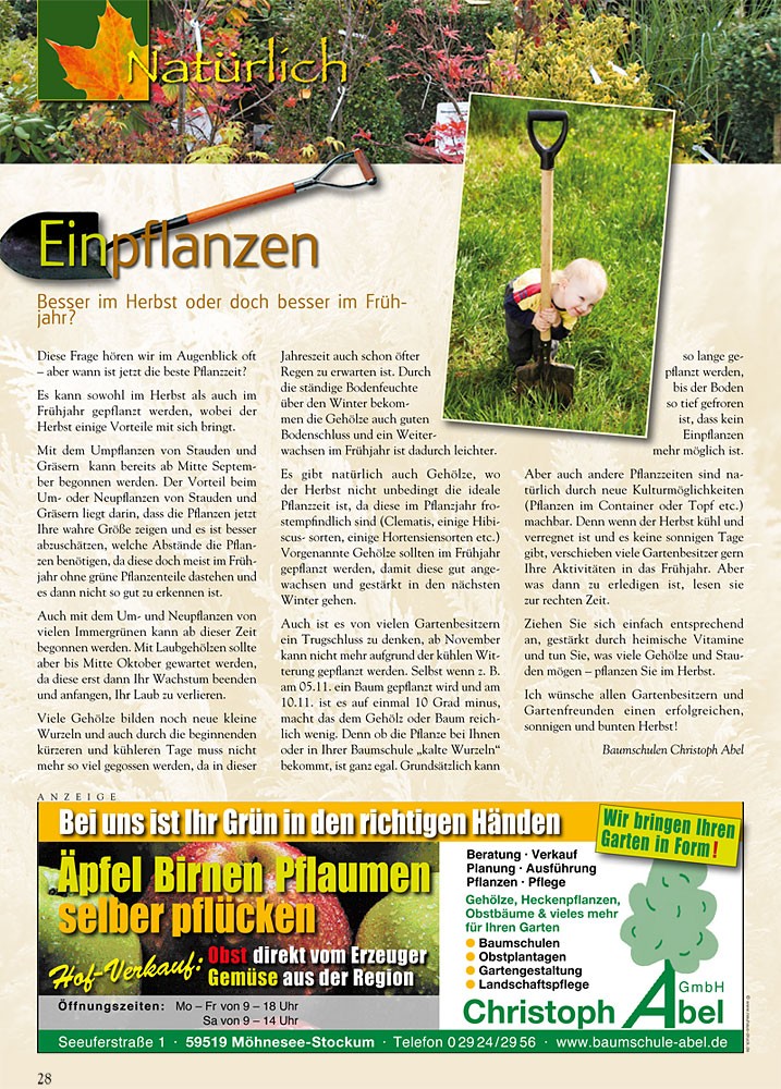 Einpflanzen - Besser im Herbst oder im Frühjahr?