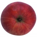 James Grieve, Apfel Busch