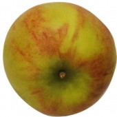 Geheimrat Dr. Oldenburg, Apfel, oben