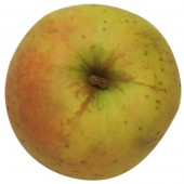 Gelber Bellefleur, Apfel, oben