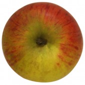 Goldparmäne, Apfel, oben