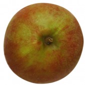 Holsteiner Cox, Apfel, oben