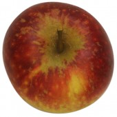 Ingrid Marie, Apfel, oben