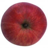 James Grieve, Apfel Halbstamm, oben