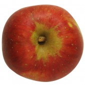 Kaiser Wilhelm, Apfel, oben
