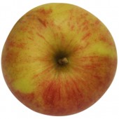 Melrose, Apfel oben