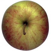 Piros, Apfel Busch