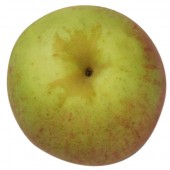 Rheinischer Bohnapfel, oben