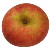 Rote Sternrenette, Apfel oben