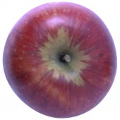 Rubinola, Apfel Halbstamm, oben