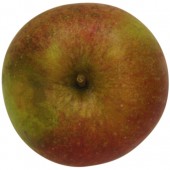 Schöner von Boskoop, Apfel oben