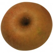Zabergäu Renette, Apfelbaum, Apfel oben