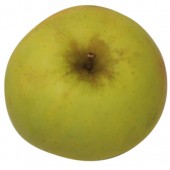 Zuccalmaglio Renette, Apfel oben