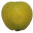 Ananasrenette, Apfel Halbstamm, seite