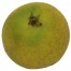 Ananasrenette, Apfel Busch, unten