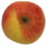 Baumanns Renette, Apfel Busch oben
