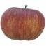 Breaburn, Apfel Hochstamm seite