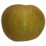 Coulons Renette, Apfel seite