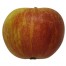 Cox Orange rot, Apfel, seite
