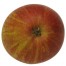 Cox Orange rot, Apfel, unten