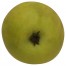 Croncels, Apfel, unten