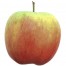 Delbarestivale, Apfel Busch