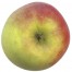 Delbarestivale, Apfel Busch oben