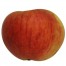 Elstar, Apfel Halbstamm