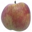 Schöner aus Herrenhut, Apfel Halbstamm, seite