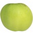 Seestermüher Zitronenapfel, Hochstamm, seite