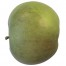 Rondo, Apfel Säule, seite