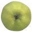 Seestermüher Zitronenapfel, Hochstamm, unten