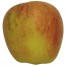 Finkenwerder Herbstprinz, Apfel, seite