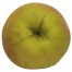 Finkenwerder Herbstprinz, Apfel, unten