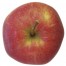Gala Apfelbaum Hochstamm, Apfel oben