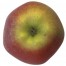 Gala Apfelbaum Hochstamm, Apfel unten