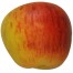 Goldparmäne, Apfel, seite