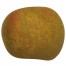 Goldrenette aus Blenheim Apfelbaum Hochstamm, Apfel seite