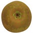 Goldrenette von Blenheim, Apfel, unten