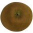 Graue Herbstrenette, Apfel, unten